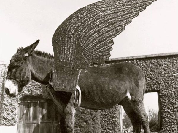 La velocità del&nbsp;mondo