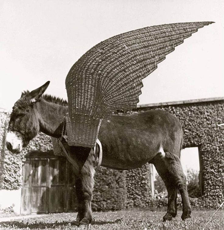 La velocità del mondo